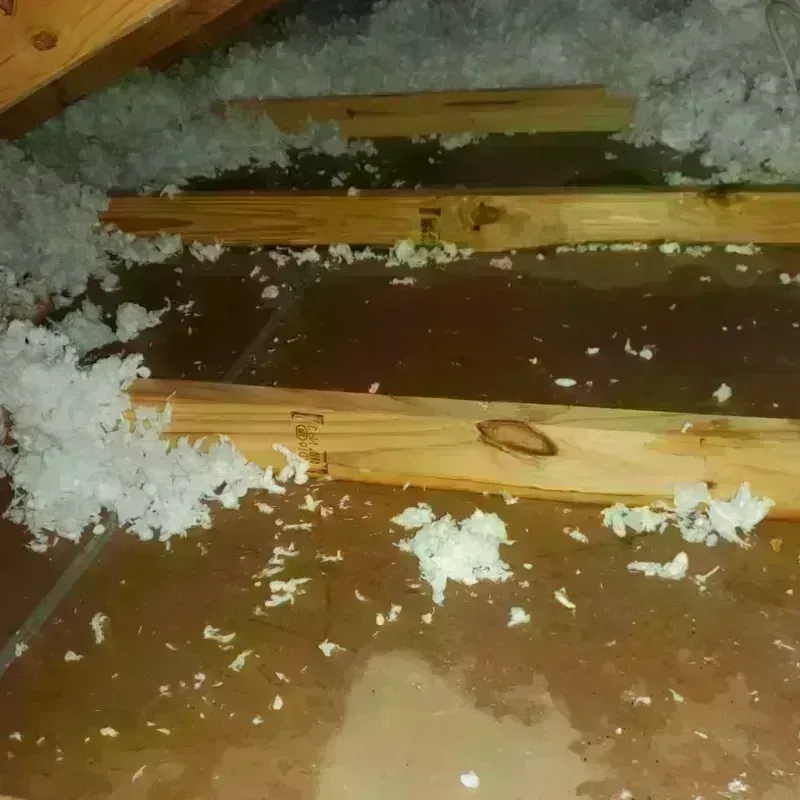 Attic Water Damage in Dunlap, TN